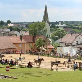 Bild von Rosenhof Bieswang e. V. - Therapeutisches Reiten & Reitunterricht