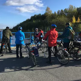 Bild von Lausitzer Seenland Touren