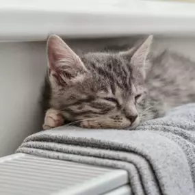 Bild von Heizöl Steger