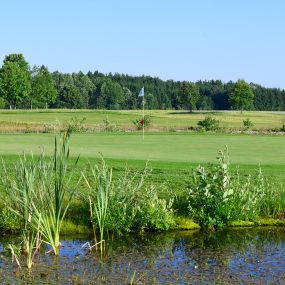 Bild von Golfanlage Harthausen