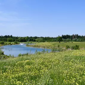 Bild von Golfanlage Harthausen