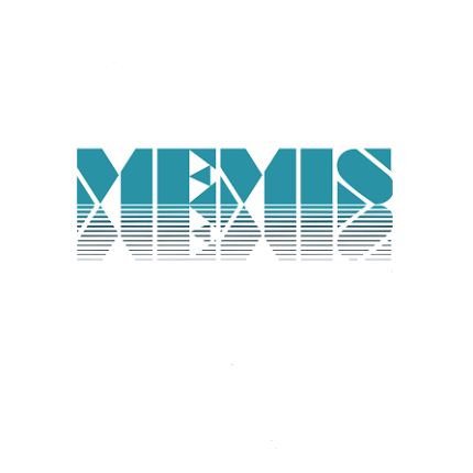 Logo de Memis Estriche