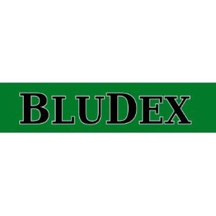 Logotyp från Bludex GbR
