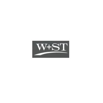 Logo de W + ST Steuerberatungsgesellschaft mbH