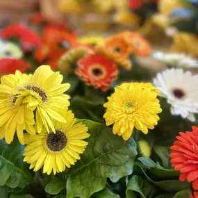 Bild von Blumenboutique Melanie