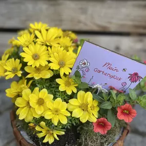 Bild von Blumenboutique Melanie