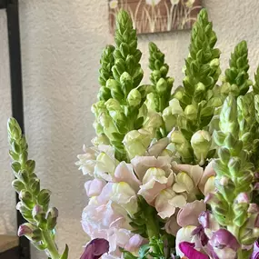Bild von Blumenboutique Melanie