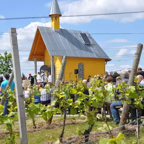 Bild von Weingut Schmitt Bergtheim