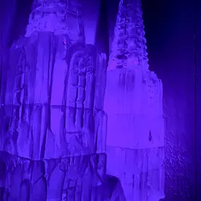 Bild von IceBar Cologne