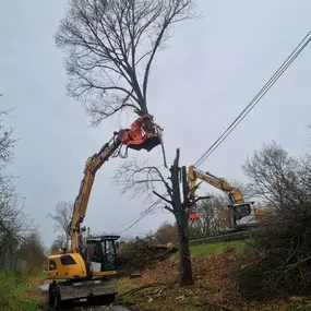 Bild von Holz Nigl