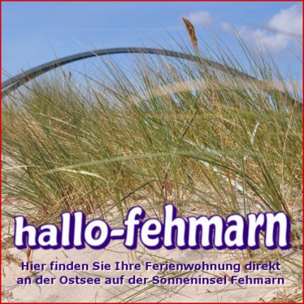 Logotyp från hallo fehmarn