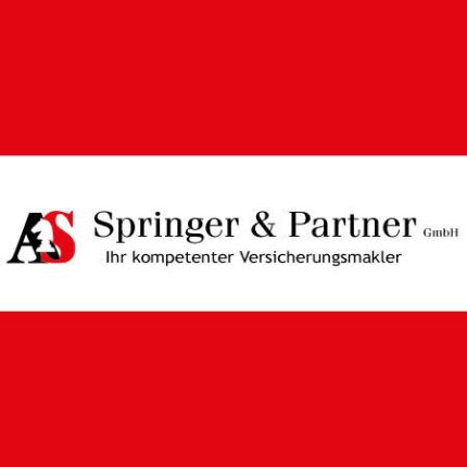 Logo van Springer & Partner GmbH