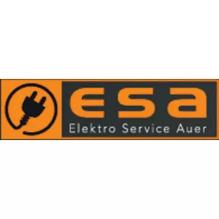 Logotyp från Elektro Service Auer GmbH & Co. KG