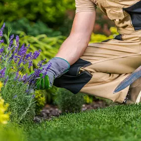 Bild von Hausmeisterservice Henkel