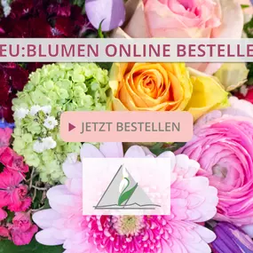 Bild von Blumen Kaimer