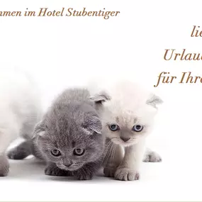 Bild von Hotel Stubentiger