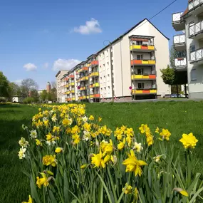 Bild von Eilenburger Wohnungsbau- und Verwaltungsgesellschaft mbH