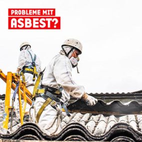Bild von BAUMSTARK Abriss & Schadstoffsanierung GmbH