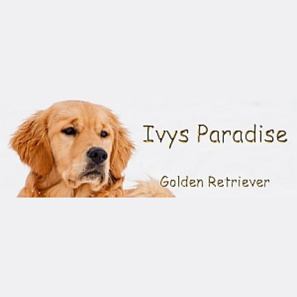 Logo da Ivys Paradise