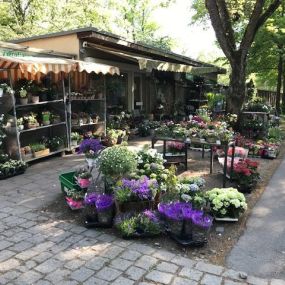 Bild von Blumen am Segensfriedhof