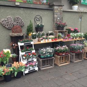 Bild von Blumen am Segensfriedhof