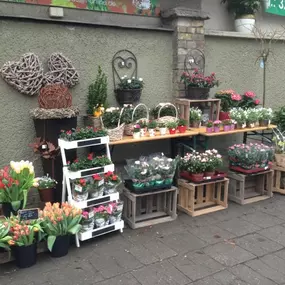 Bild von Blumen am Segensfriedhof