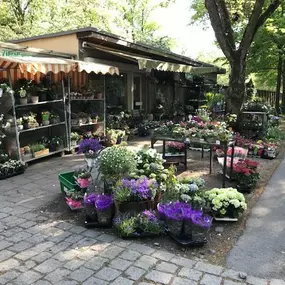 Bild von Blumen am Segensfriedhof