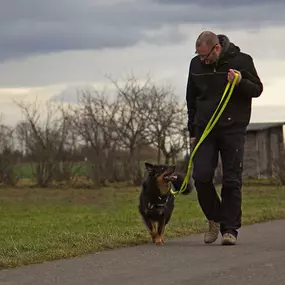 Bild von Der Hunde Coach Lothar Schneider