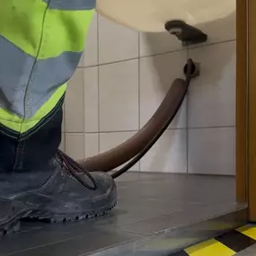 Bild von Wurz GmbH