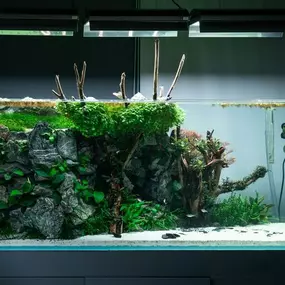 Bild von Aquascapers Galerie