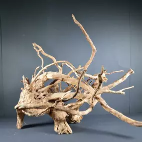 Bild von Aquascapers Galerie