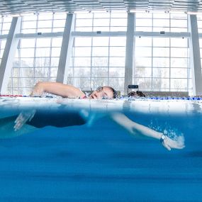 Bild von Schwimmsportkomplex Freiberger Platz