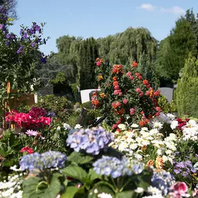 Bild von Bestattungen Schafhausen