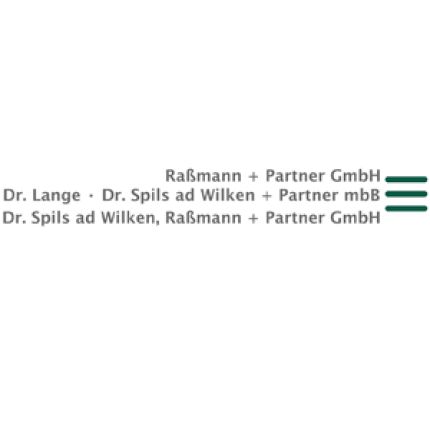 Logo de Raßmann + Partner GmbH Steuerberatungsgesellschaft