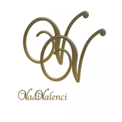 Logo van VadiValenci