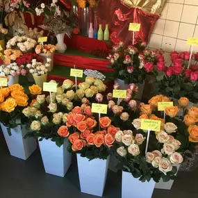 Bild von Blumen- und Pflanzenhaus Gärtner - Blumenladen Lei