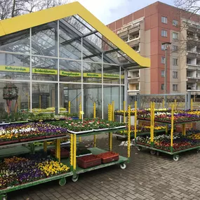 Bild von Blumen- und Pflanzenhaus Gärtner - Blumenladen Lei