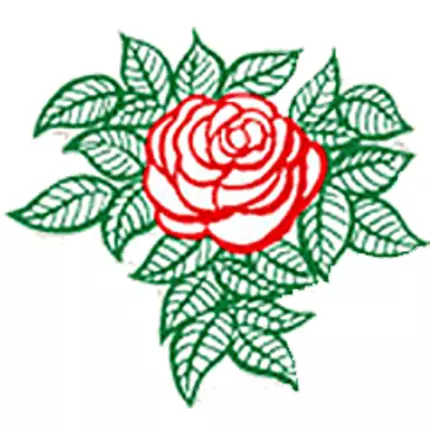 Logo fra Rosen-Apotheke Rodewald