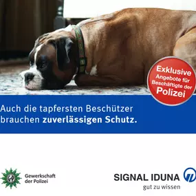 Signal Iduna (PVAG) und die Polizei