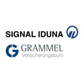 Bild von SIGNAL IDUNA Versicherung Markus Grammel