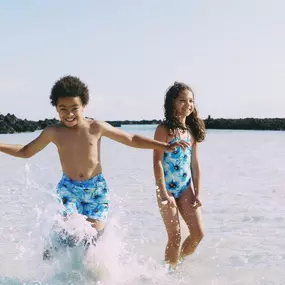 Cruise 26 Collection