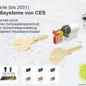 Bild von SMK  Schließzylinder & Schließanlagen  sicher-365.eu