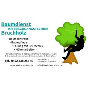 Bild von Baumdienst mit Seilzugangstechnik Bruchholz