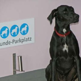 Hunde-Parkplatz - Kleintierpraxis Belgard & Dorweiler München
