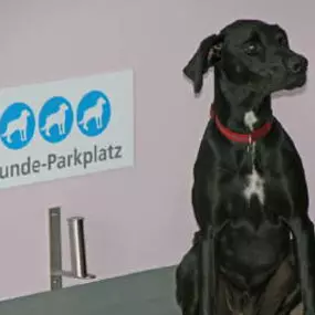 Hunde-Parkplatz - Kleintierpraxis Belgard & Dorweiler München