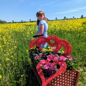 Bild von Blütenzauber Inh. Juliane Hempel Blumenladen