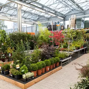 OBI Gartencenter Herford