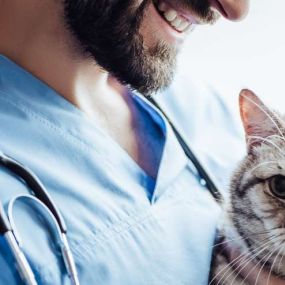 Das bietet Ihnen die Allianz Katzenkranken­versicherung - Allinaz Thomas Schmidbauer