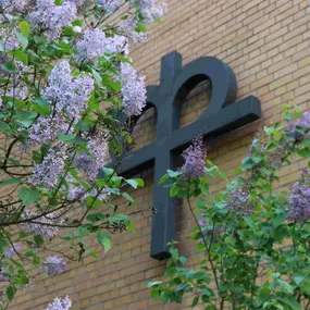 Bild von Evangelisches Seniorenheim Albestraße Gemeinnützige GmbH