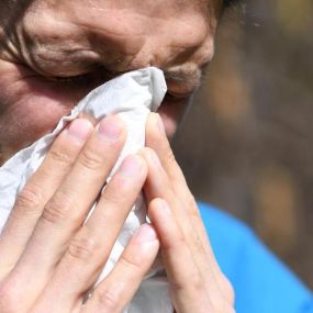 Mildes Wetter bringt erste Probleme für Pollen-Allergiker - Aquila Apotheke